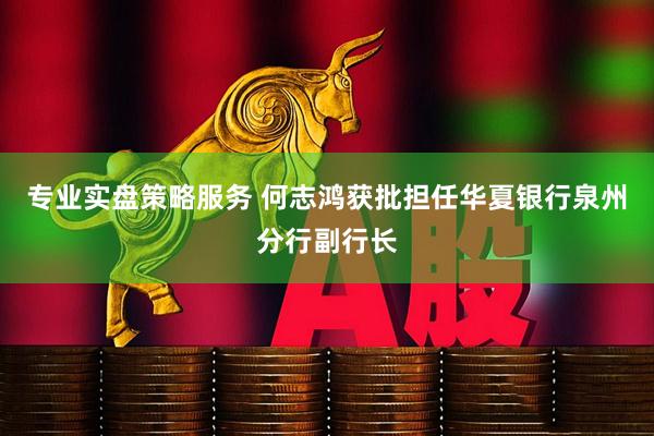 专业实盘策略服务 何志鸿获批担任华夏银行泉州分行副行长