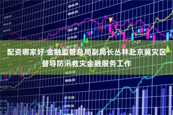 配资哪家好 金融监管总局副局长丛林赴京冀灾区督导防汛救灾金融服务工作
