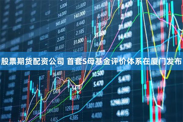 股票期货配资公司 首套S母基金评价体系在厦门发布