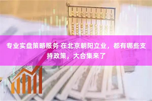 专业实盘策略服务 在北京朝阳立业，都有哪些支持政策，大合集来了