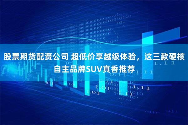 股票期货配资公司 超低价享越级体验，这三款硬核自主品牌SUV真香推荐