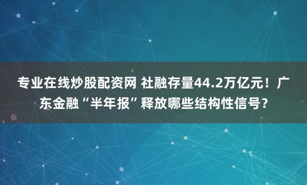 专业在线炒股配资网 社融存量44.2万亿元!广东金融“半年报”释放哪些结构性信号?